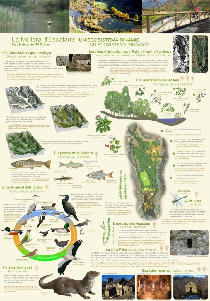 mapa-mollera-escalarre